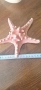 Миди,корали, снимка 9