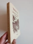 Широка лъка - Просветно огнище в Родопите, снимка 14
