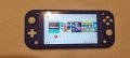 Nintendo Switch Lite Хакнат , снимка 1