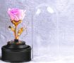 Вълшебна неувяхваща роза в стъкленица с LED светлина. Размер: 8.5 х 18 см; Размер на кутия: 16 х 16 , снимка 1 - Декорация за дома - 45587805