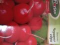 Разсад червени репички едри, снимка 1 - Градински цветя и растения - 45294767