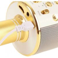 Безжичен микрофон с блутут и вградени тонколони WS-858, снимка 3 - Микрофони - 45415981