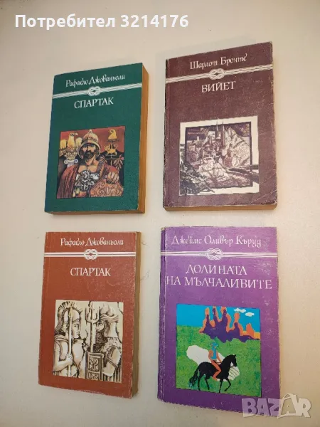 Вийет - Шарлот Бронте, снимка 1