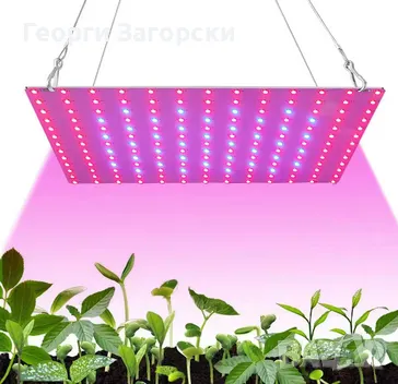  Лампа с пълен спектър за отглеждане на растения 50W, снимка 1