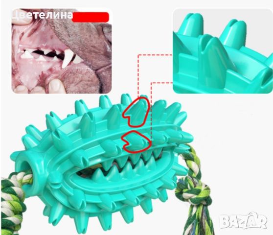 Играчка кактус – четка за зъби за домашни любимци, снимка 5 - За кучета - 45795589