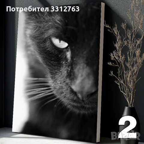 Печат на картини на канава опъната на дървена подрамка с котки (различни картини), снимка 3 - Картини - 54255553