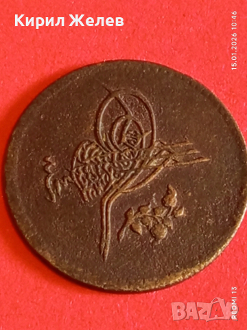 Рядка монета 5 пари 1293г. Абдул Хамид втори Турция за КОЛЕКЦИЯ 52626, снимка 7 - Нумизматика и бонистика - 53106200