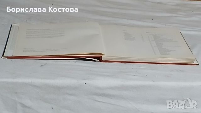 книга за замъците, снимка 7 - Други - 46764950