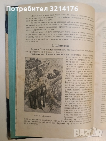 Животнитѣ от биологично гледище - Борис Митов (1935, Луксозна изработка, Отлично състояние), снимка 5 - Специализирана литература - 52773226