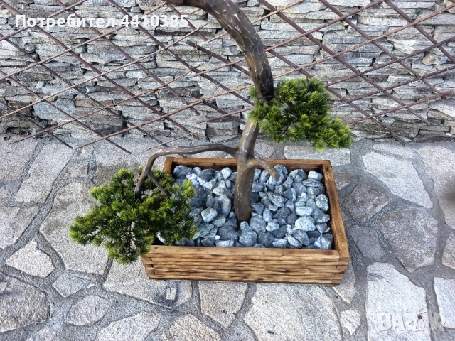 ръчно изработен бонсай Японски стил(уникат) , снимка 9 - Декорация за дома - 52833000