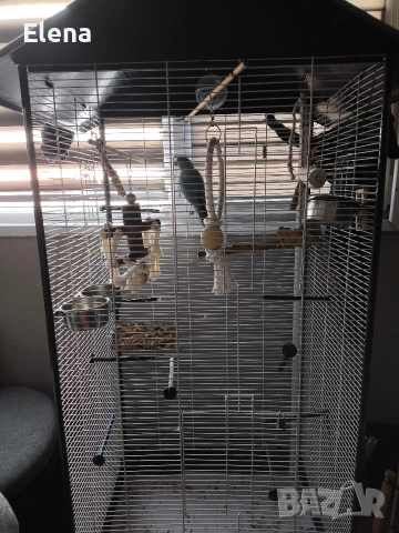 Клетка за папагал с папагал, снимка 2 - За птици - 53616700