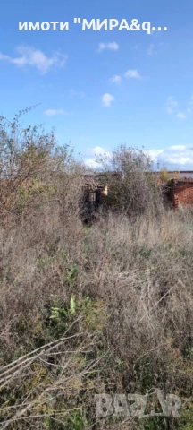 Парцел с лятна кухня и стара къща – С. Долно Сираково, обл. Хасково, снимка 7 - Парцели - 52610773