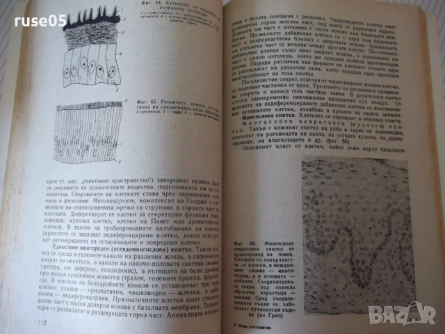 Книга "Обща хистология - Ст. Стефанов" - 252 стр., снимка 6 - Специализирана литература - 52792646