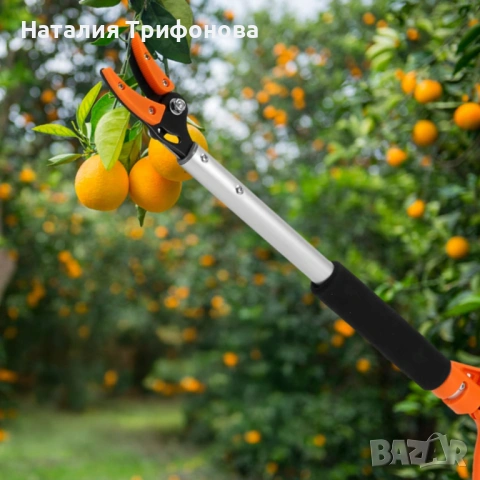 Ножица за клони и бране на плодове 100 см – прецизно рязане без стълба, снимка 3 - Градински инструменти - 54175177