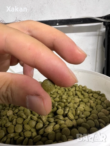 Tropical 3-ALGAE TABLETS B 12% FALLO Evera- растителна основа, снимка 3 - Други - 48640618