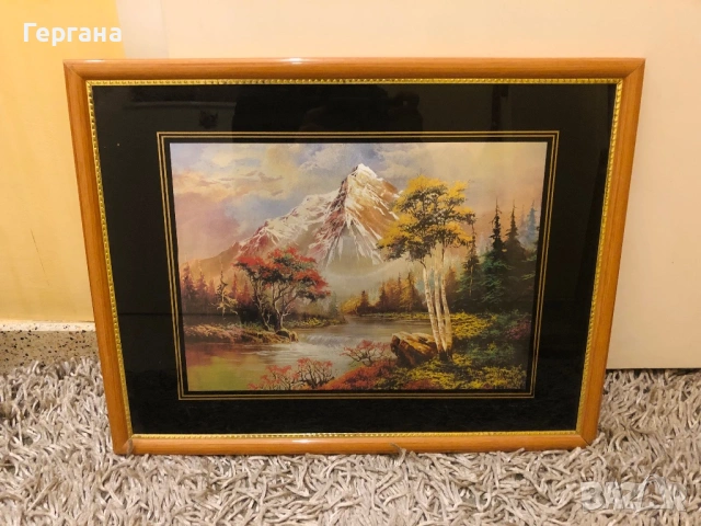 Картини - 2 бр, снимка 2 - Картини - 53673342