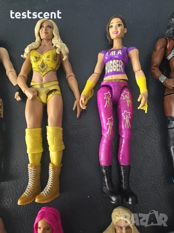 Екшън фигурки WWE Жени, Диви, Дами – Играчки и Колекционерски Фигури, снимка 3 - Фигурки - 48450731