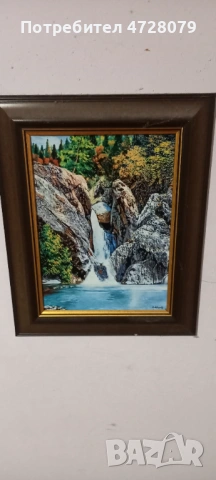 Kartina suchurum karlovo