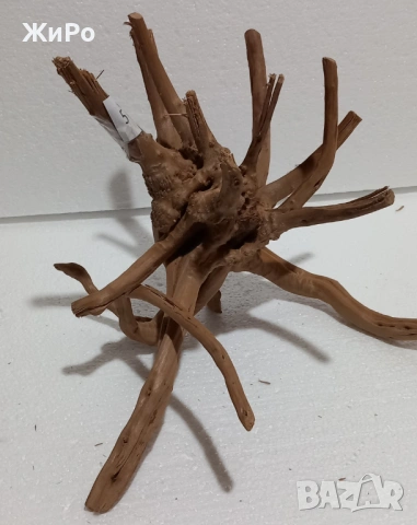 Корен от Азалия /декорация/ 5, снимка 3 - Други - 48577863