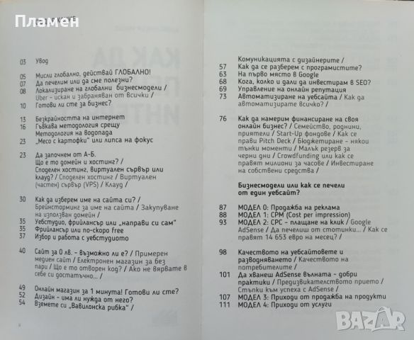 Как да печелим от интернет? Александър Ненов, снимка 2 - Специализирана литература - 45479850