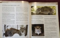Енциклопедия на котките / Encyclopedia of Cats, снимка 3