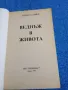 Даниел Стийл - Веднъж в живота , снимка 4