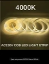 COB LED лента 220V- 4000K, снимка 3