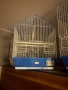 Нови клетки за птици, снимка 4