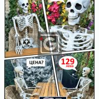 Човешки скелет в действителен размер 170 см - макет на скелет, снимка 2 - Декорация за дома - 45685911