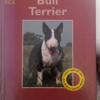 Bethany Gibson: Bull terrier, снимка 1 - Други - 45357504