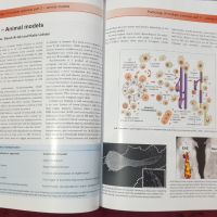 Множествена склероза - визуален справочник / Multiple Sclerosis - Visual Guide for Clinicians, снимка 9 - Специализирана литература - 45667994