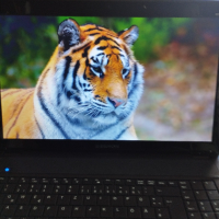 лаптоп MEDION MD-98550  17,3 инча цена 160лв, снимка 8 - Лаптопи за дома - 45006548