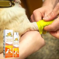 Спрей за възстановяване на ставите за домашни любимци с пчелен Екстракт, снимка 7 - За кучета - 45822927