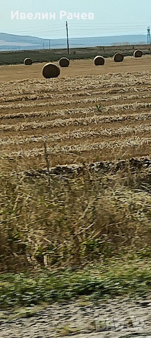 купувам НИВИ в селата-Мадара,Кюлевча или Могила, снимка 1