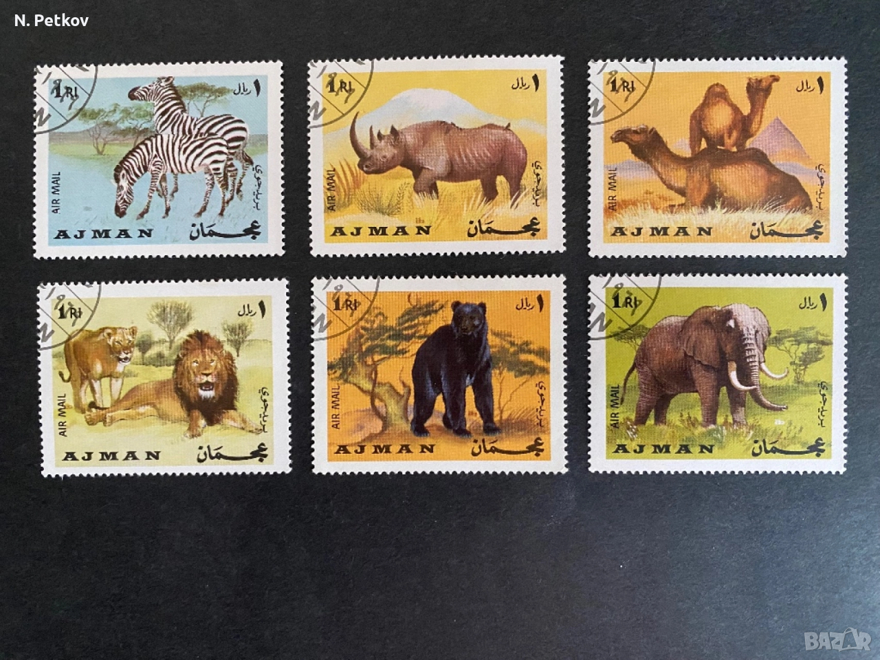 Аджман, Фауна, снимка 1