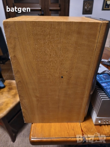 Sony ss-nx1, снимка 7 - Тонколони - 51955620