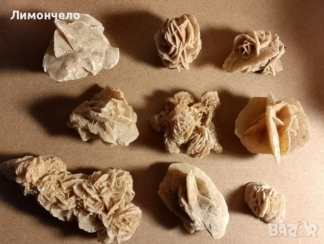 Пустинна роза - скъпоценни камъни, друзи , фосил