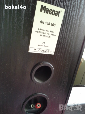 Magnat Art 145 100, снимка 5 - Тонколони - 53871027