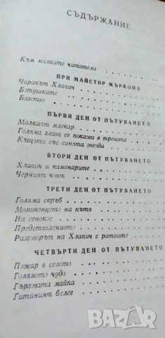 Чудните приключения на чирака Хлапич - Ивана Бърлич-Мажуранич, снимка 8 - Детски книжки - 46798934