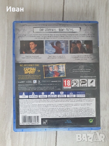 Life is Strange 2 + The Walking Dead Definitive Series – PS4 – Като нови, снимка 2 - Игри за PlayStation - 53150593