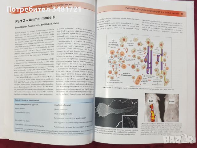 Множествена склероза - визуален справочник / Multiple Sclerosis - Visual Guide for Clinicians, снимка 9 - Специализирана литература - 45667994