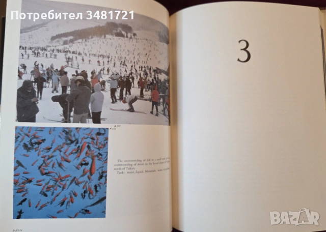 Япония - модели на приемственост / Japan. Patterns of Continuity, снимка 11 - Художествена литература - 54243921