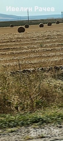 купувам НИВИ в селата-Мадара,Кюлевча или Могила