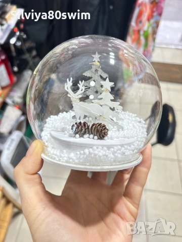 Пресапие Коледа 