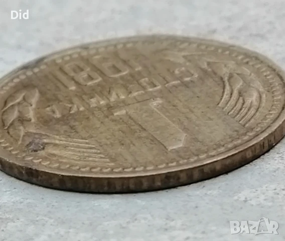 Редката с куриоз автентична 1 стотинка НРБ 1981, снимка 3 - Нумизматика и бонистика - 39342084