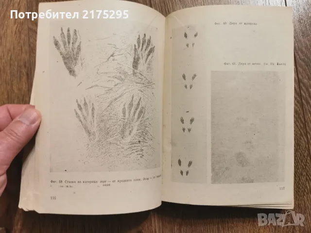 Наръчник на ловеца и риболовеца-Земиздат 1974г., снимка 9 - Специализирана литература - 49699300