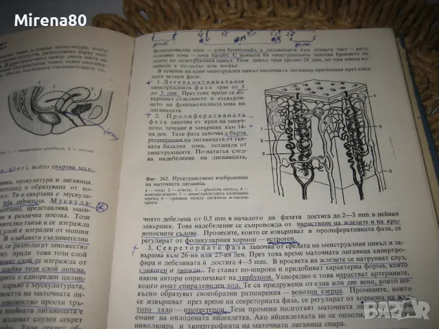 Анатомия на човека - 1982 г., снимка 6 - Специализирана литература - 48839941