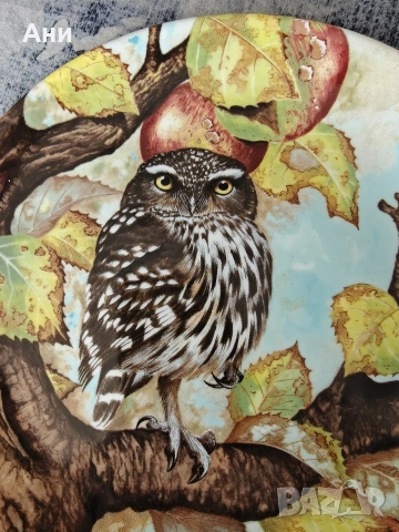 Coalport декоративна чиния от фин порцелан, снимка 3 - Декорация за дома - 53953265