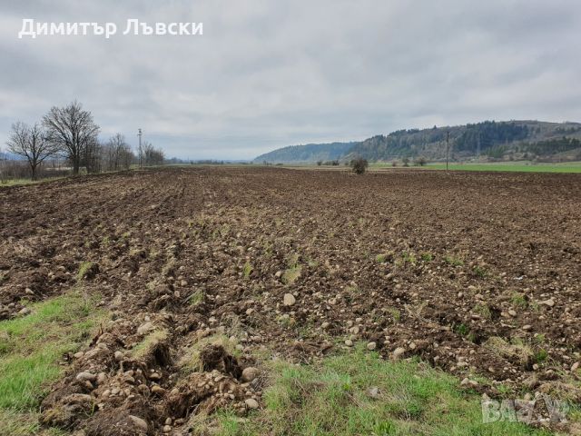 Парцел в област София, гр. Самоков, 3442 м², снимка 6 - Парцели - 46508229