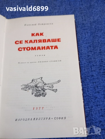 Николай Островски - Как се каляваше стоманата , снимка 5 - Художествена литература - 52760647